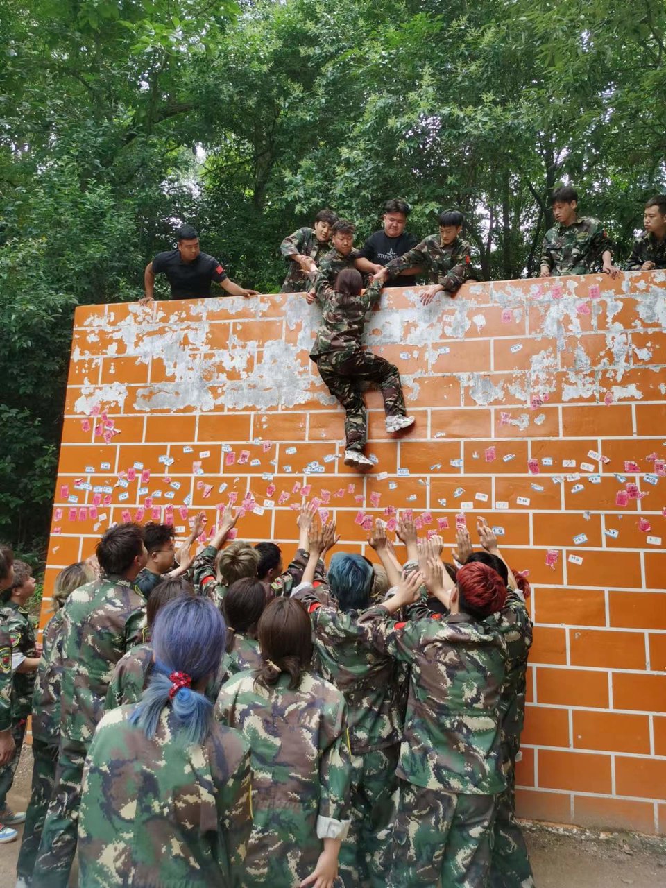 Ec70m7WqRdUAjlfxB0M9e_nq5lsHWkJAldHLTGcm1xhcEA01-rWbToPGyeYPYFvi