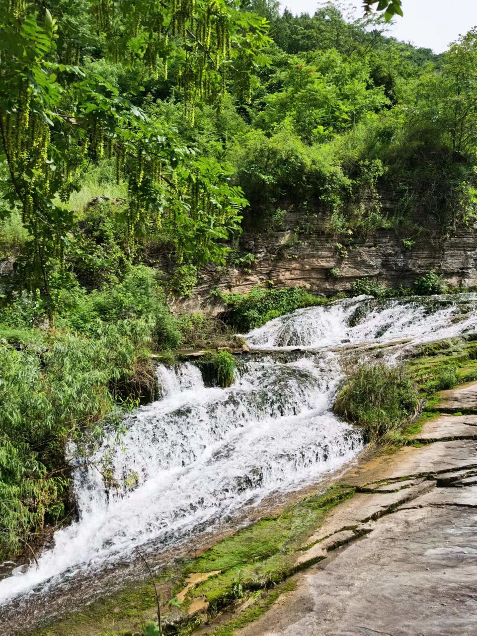 Ec70m7WqRdUAjlfxB0M9e8yp-39vF3A5HCO1f_Urr7hllV3iD__xS1l8QuzuP-cz