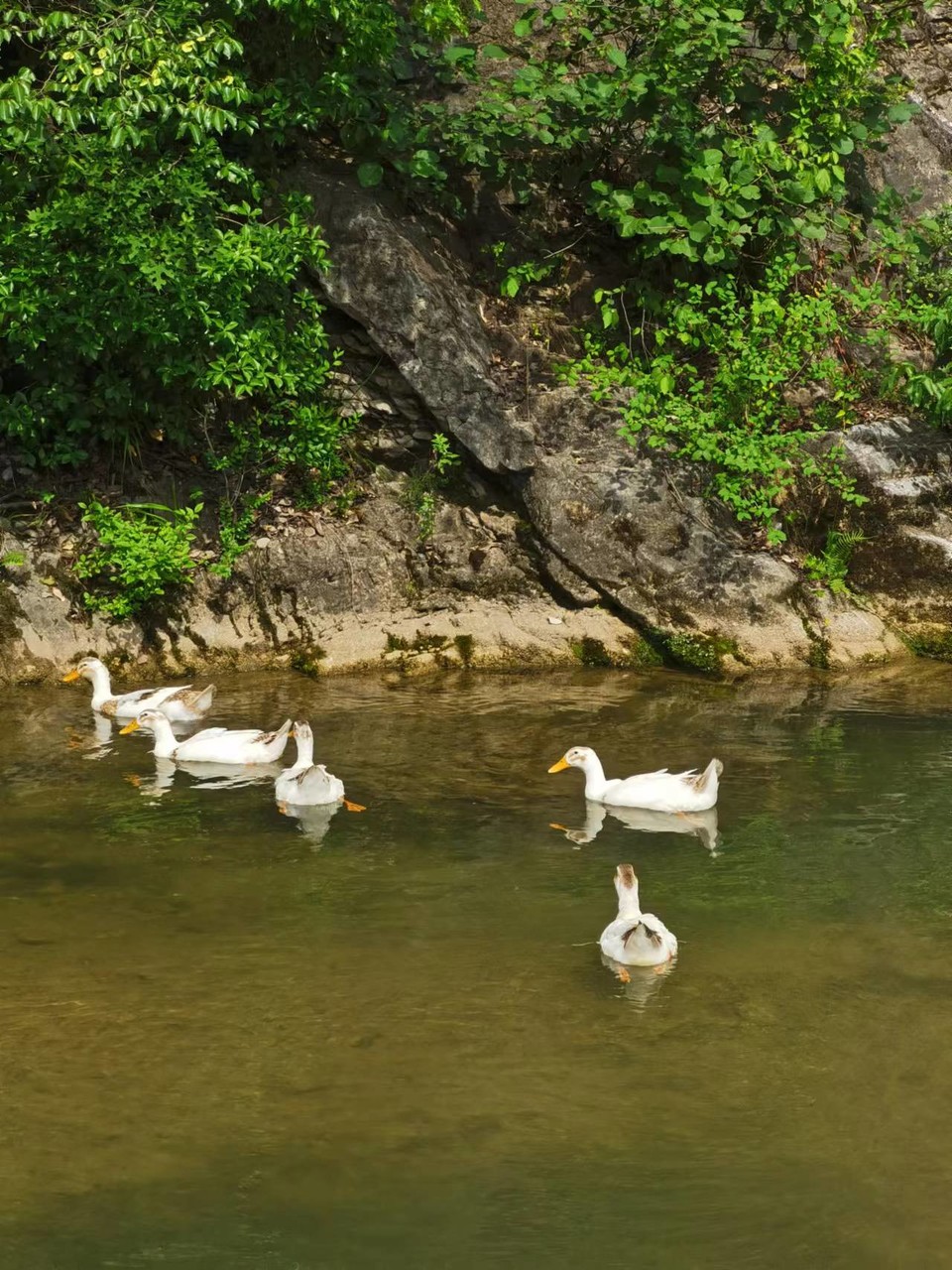 Ec70m7WqRdUAjlfxB0M9ezNJimt3qpDt02IzY715Cal88IehRp_EvgnZ3qn32upc