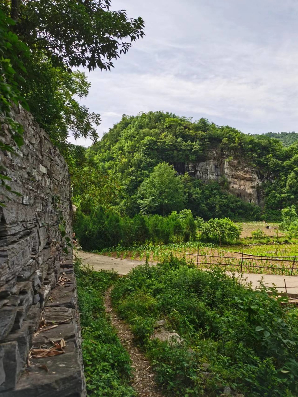 Ec70m7WqRdUAjlfxB0M9e61xynmUEufgQMtOj-Y3kLi2hbsDoNX0l4m9GM2kYYcF