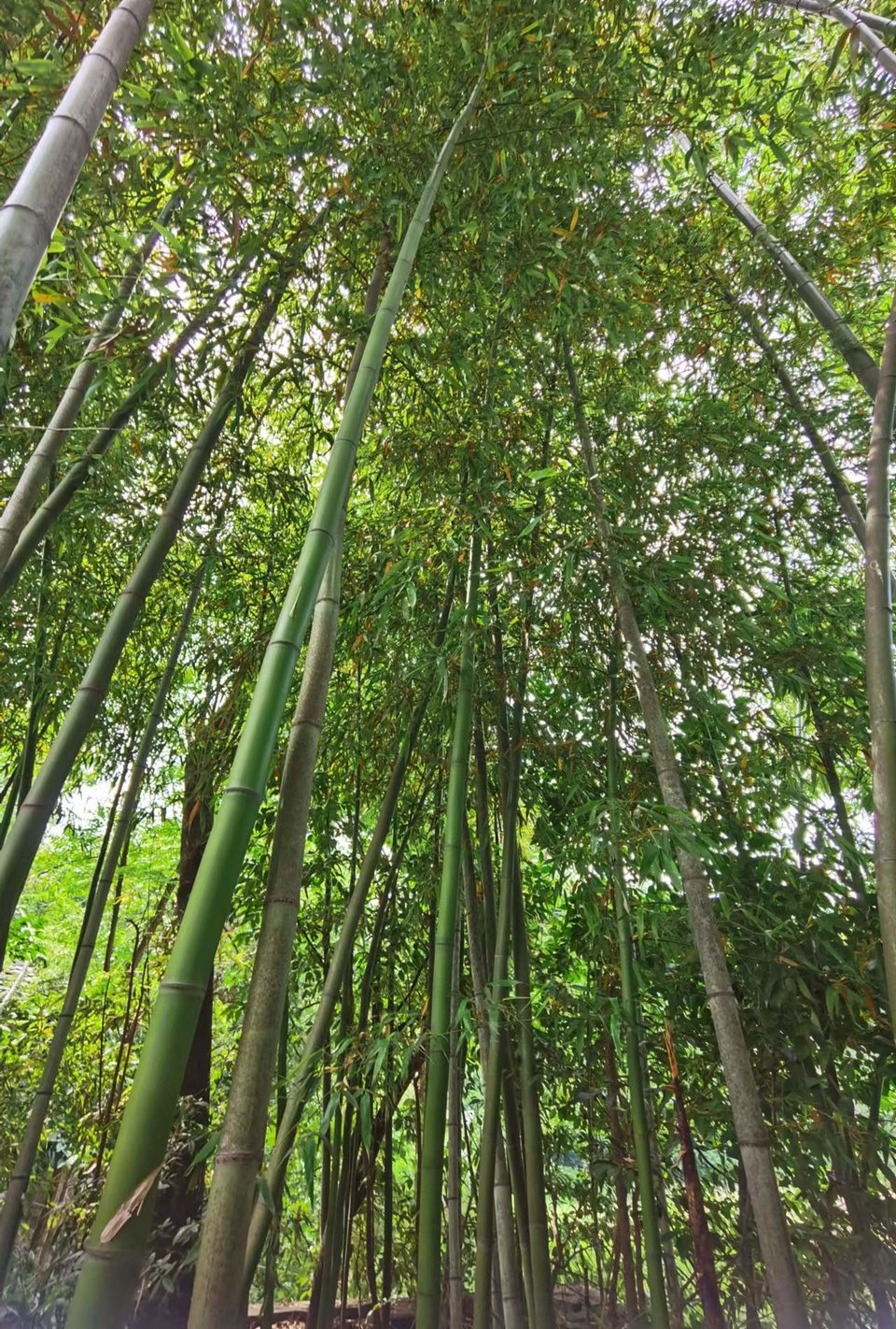 Ec70m7WqRdUAjlfxB0M9e3_Z4AksYGFMYSOJpiOnKC1MtwQZFa1EK63SiQEM_i4s