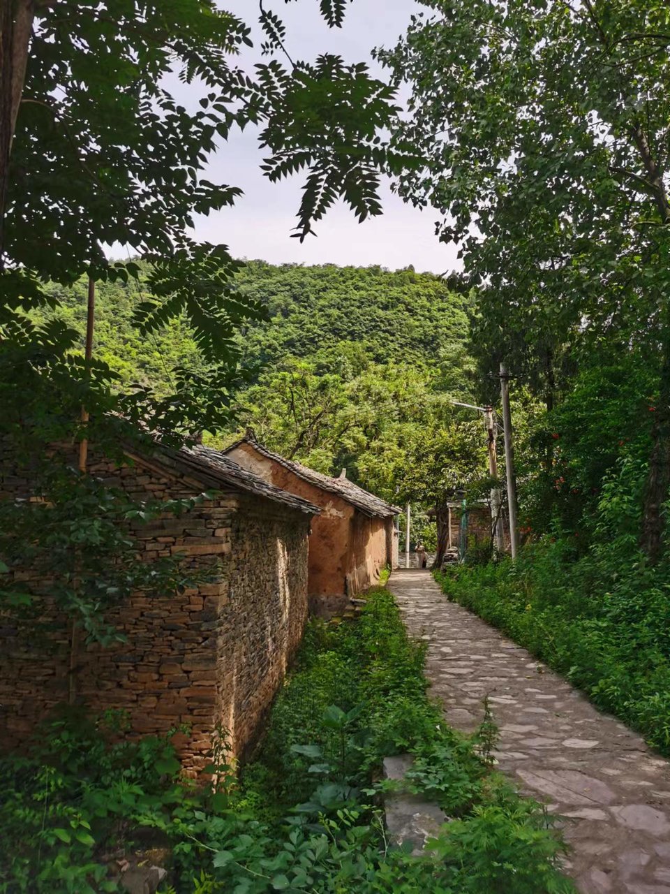 Ec70m7WqRdUAjlfxB0M9e4Us5a-N2TG8YT7v0o5x4_ij-w7_sH0qoq_D3WFFSXbm