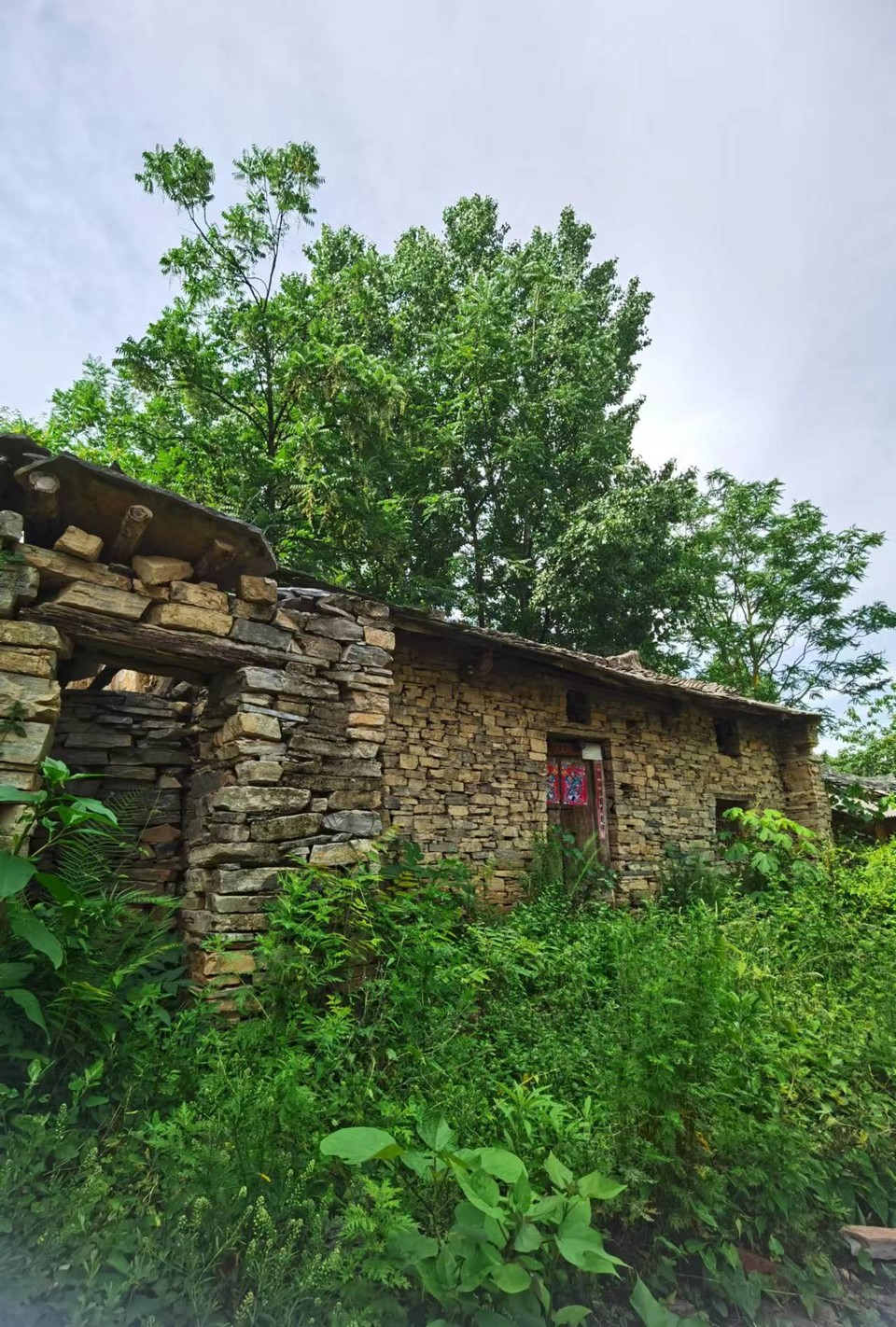 Ec70m7WqRdUAjlfxB0M9e72Jte_J5qjdw-a33Osm1Xu3zOPxsLeAfpFBzx85KtJj