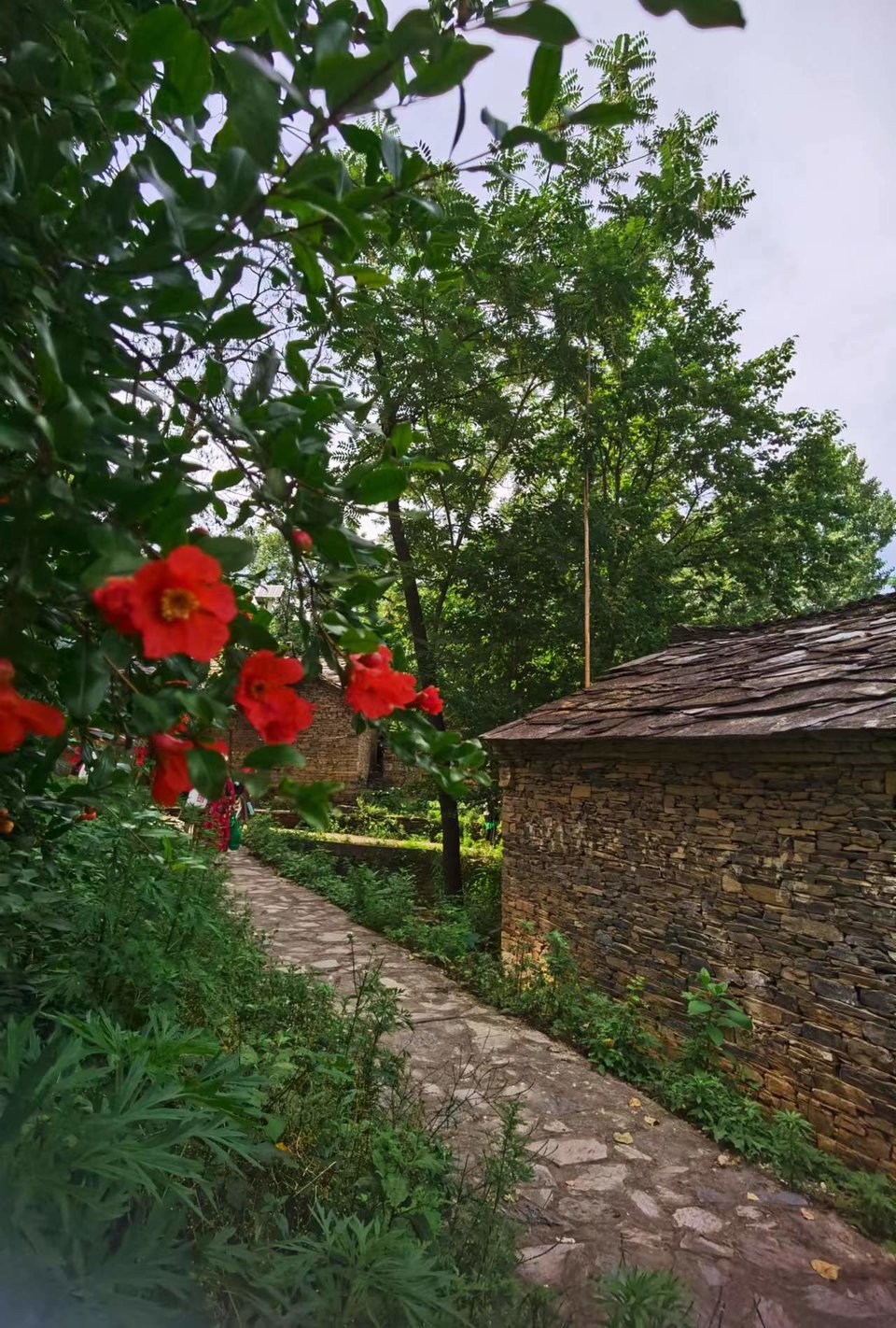 Ec70m7WqRdUAjlfxB0M9e_eU0Fjg3dRTlLUiBeb3AuM0JiKSmju-br9UuYWTux1b