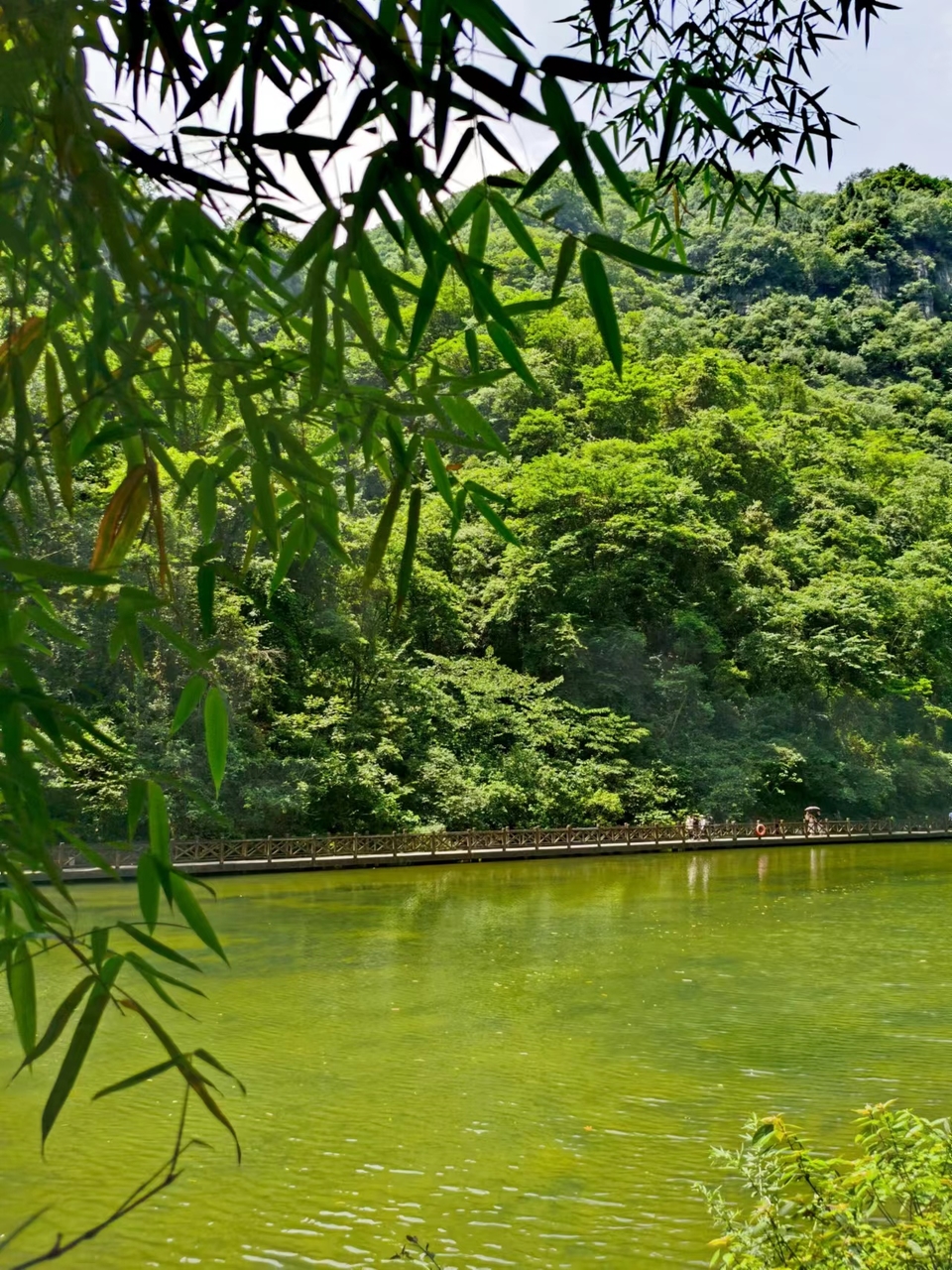 M1MHdfl5t6rE5NrA7S_RNckf1MhFQg3VQieuIFZvirmO16z5fea4QyCo5B7EgasL