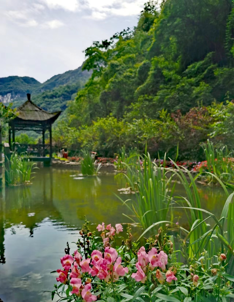 M1MHdfl5t6rE5NrA7S_RNSxe20EeP8LFbJYUumEl046TpRJPzS4hzU0vVELiowqE