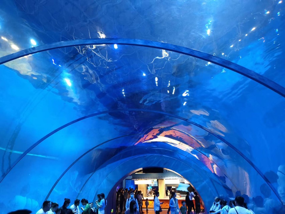 XAbgIMkFj2mzQtrZyOsn76F0fKL5Opnflb1WckKUcX6l4wY_kheffXDM24p9Z0fL