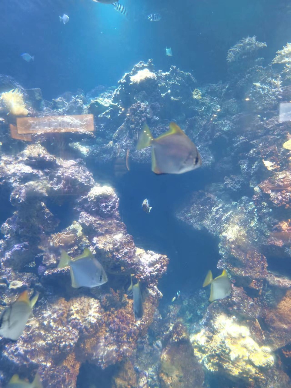 XAbgIMkFj2mzQtrZyOsn74eH95WET17lqRbJpB88BfwV-r4aV9Gt66uqCE0FXcx8