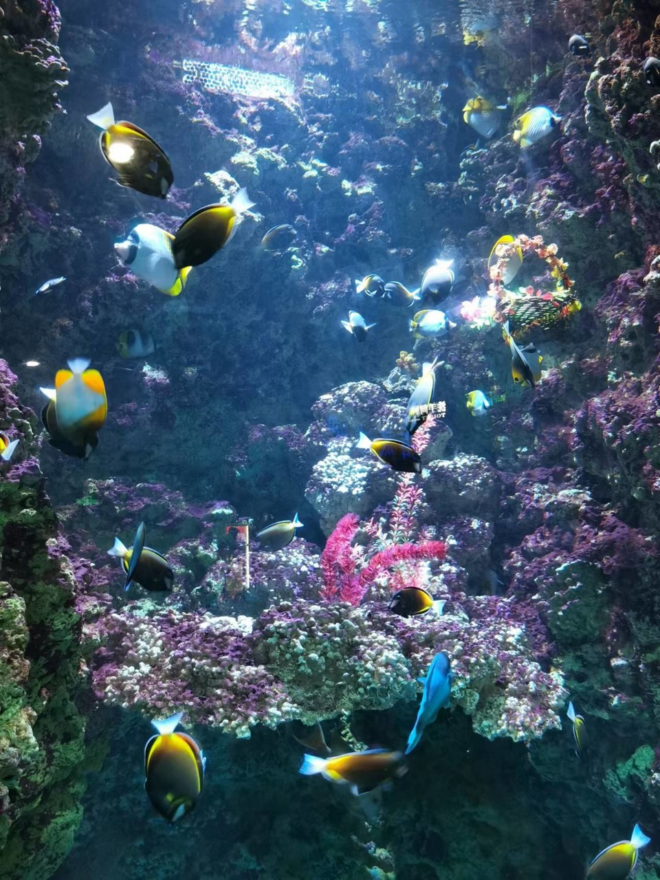 XAbgIMkFj2mzQtrZyOsn73deMgdwi8xAH_xmWT56Ixlw3vgdU7WyUmEChdGESJF-