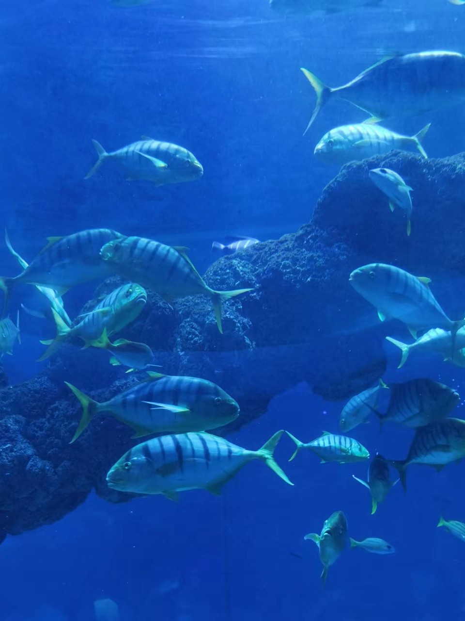 XAbgIMkFj2mzQtrZyOsn719VfxEwZ8FOokoSvQagxdXmV2Z2k4h57SPvWQEFToBE