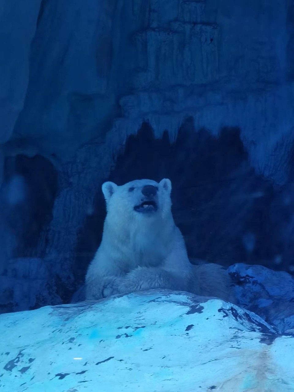 XAbgIMkFj2mzQtrZyOsn79ed5u_wSug5AJdxsXqlZK9XAlj4_lGWfdrR2DqlXL1b