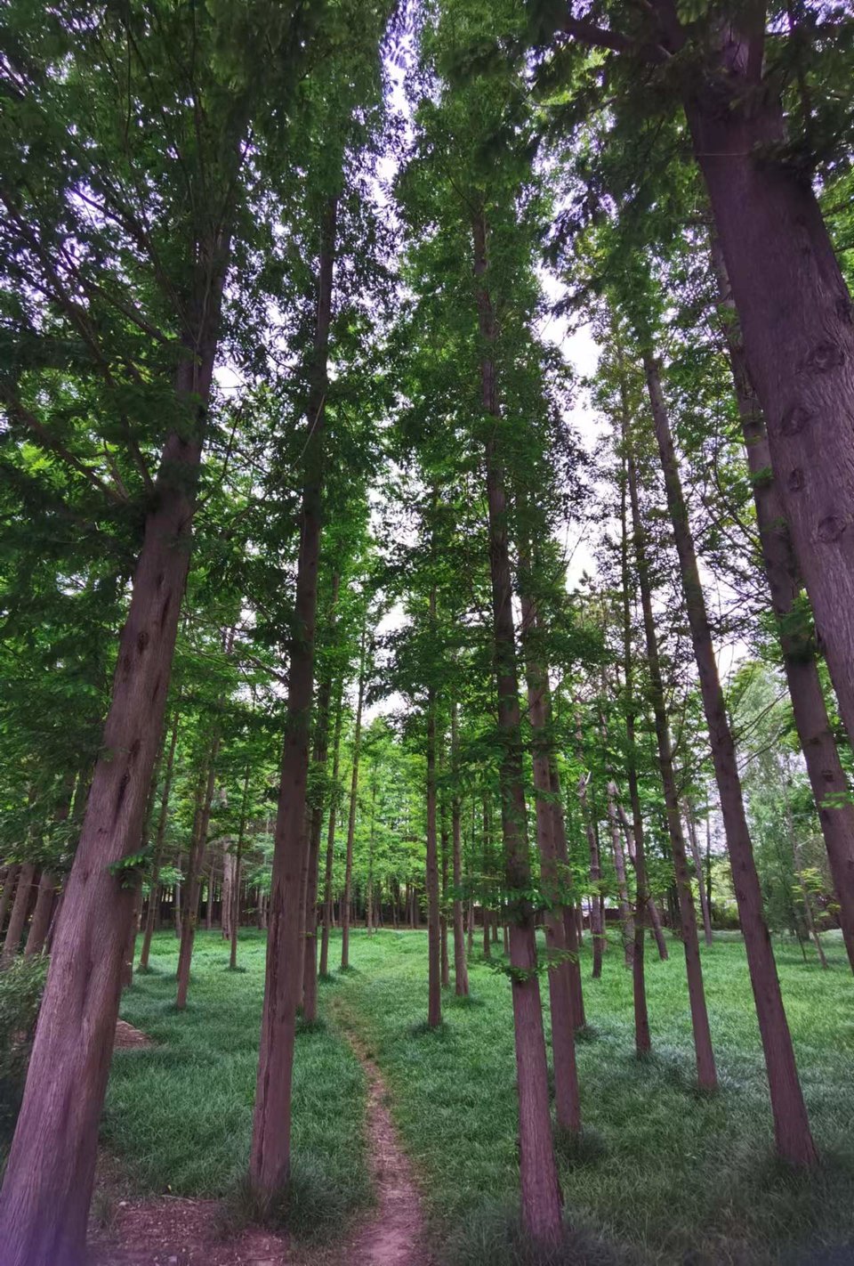 XAbgIMkFj2mzQtrZyOsn73uZcnLQSI3JD3cobJqhwYvu8hPC7Vw9SNhrAl_W0Xqk