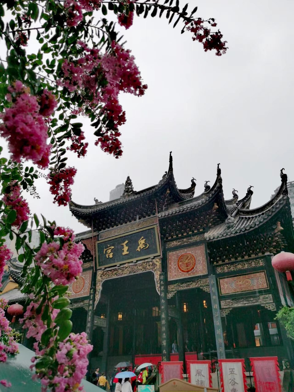 h9gC1rDp-TyIDqQeEvDM-MWfFQYX26euZ88yX-wLWAbo5MJgViskqa0_aToD3JdL