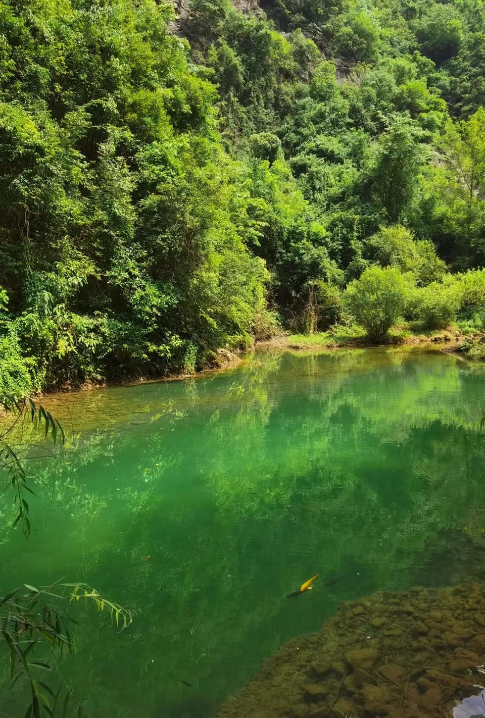 xdHbsAXfNaWtHzdZOh2GcbpCn1raPAEw7hkHZPFd_gCOE-zHA-YH91ZhTPp1hO9V