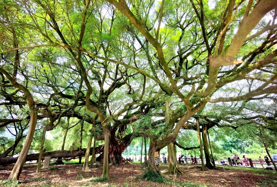 XLNXSY5oilaWSwKa3qC5xETYcsS9qb-egLKyyKYfBRKBKYpmMuc9LBfieYh2XvLl