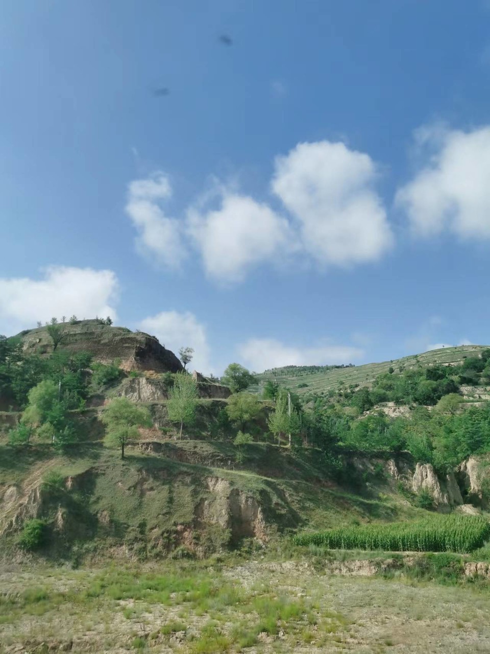 kFKGQykqjUMY4ZWzKTBz6HzAoeZNZMt30u8UjhqH2bW9lMGt2MCV8VZLrIv2JiGO