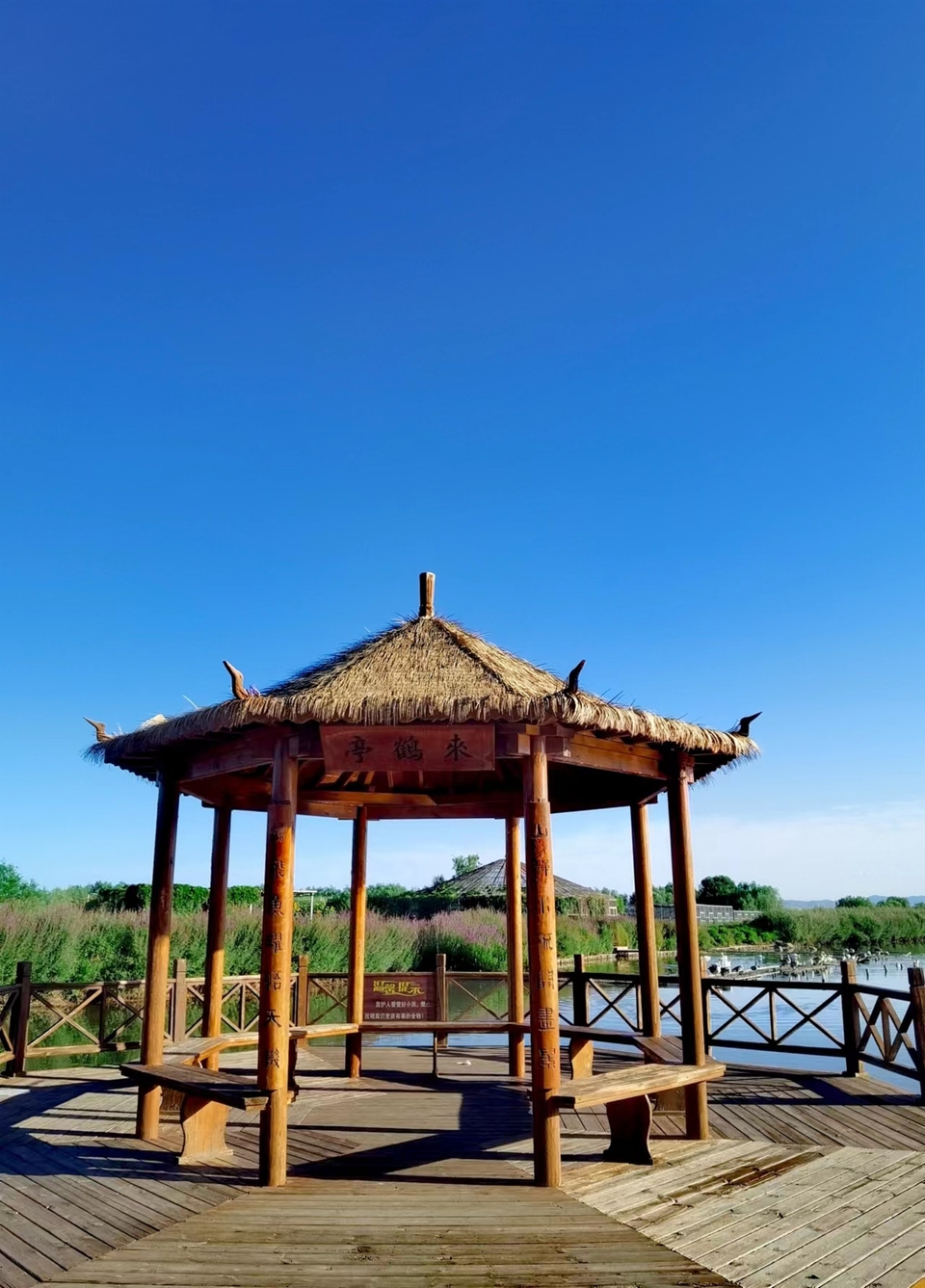 kFKGQykqjUMY4ZWzKTBz6GN-nPZf9YfQLqN972zIJfSEHeW0zXgFuQ6ro-EqDcDK