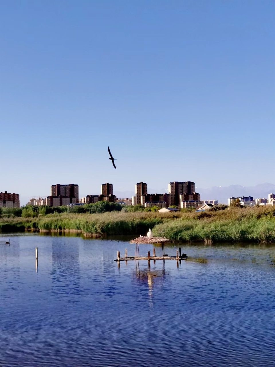 kFKGQykqjUMY4ZWzKTBz6MdGVJ4dWZLkHQi-IJSVXGdroLPzUsiNd4bh4S1oVWLv