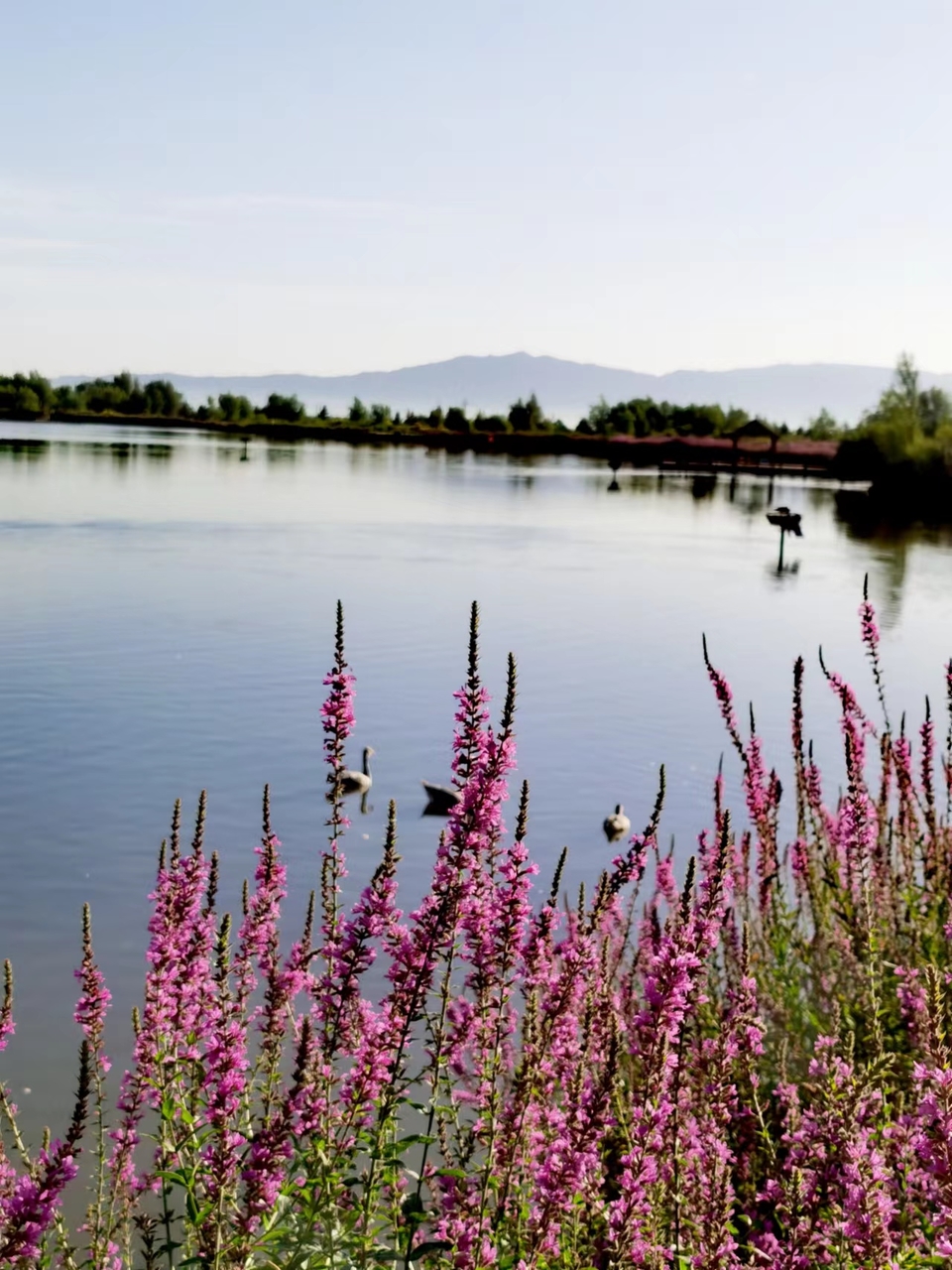 kFKGQykqjUMY4ZWzKTBz6M2Gs-mNPzz9KK6xZpgmqwTKFTFmUGTf-o97_UFzdKwA