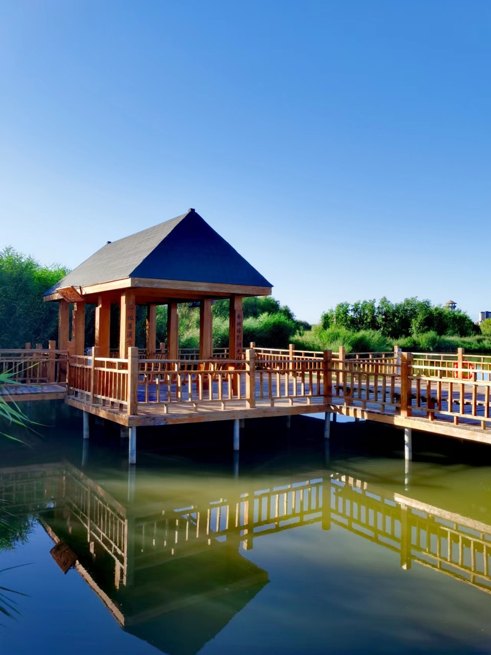 kFKGQykqjUMY4ZWzKTBz6BPp2wZwoq5jES9j0NZp9-OjYbpRlMTx3b4fBuMRX6oG