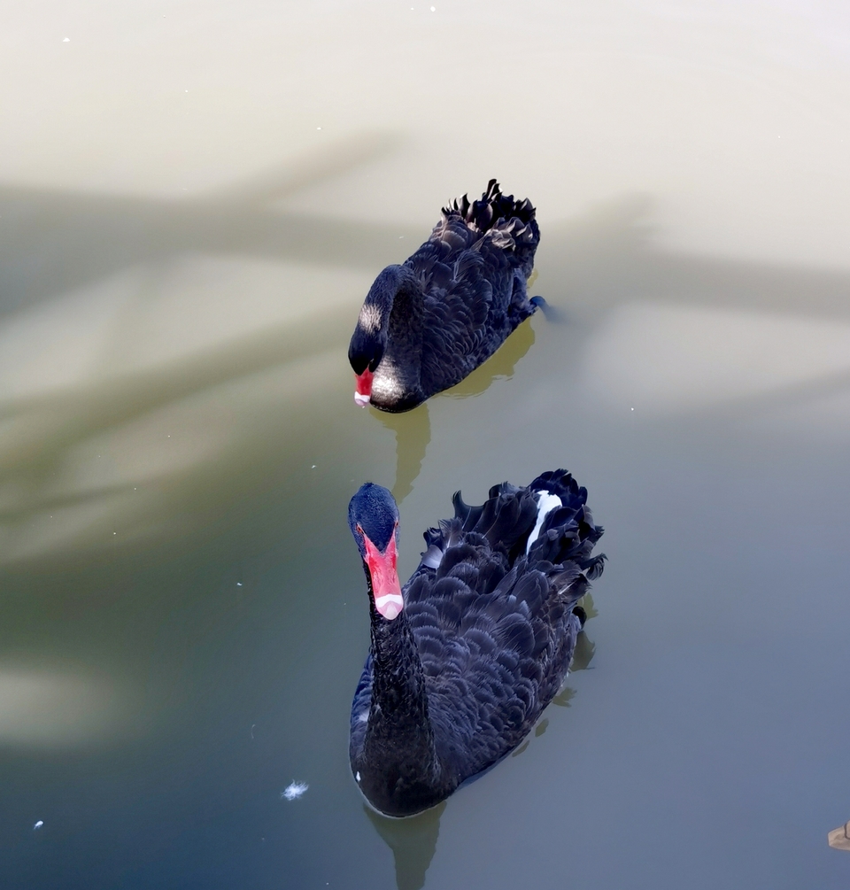 kFKGQykqjUMY4ZWzKTBz6BGtgsx1fPxzTw24r62VDkRbKgBZ4i8RACu1ZEZLLICh