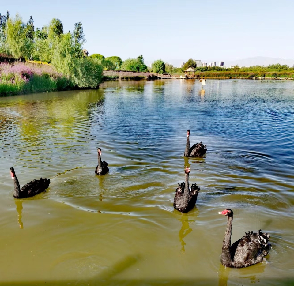 kFKGQykqjUMY4ZWzKTBz6LvOLIDylgnlQQoV_EAsSkjsBzODSUPpBSXGz48JGr06