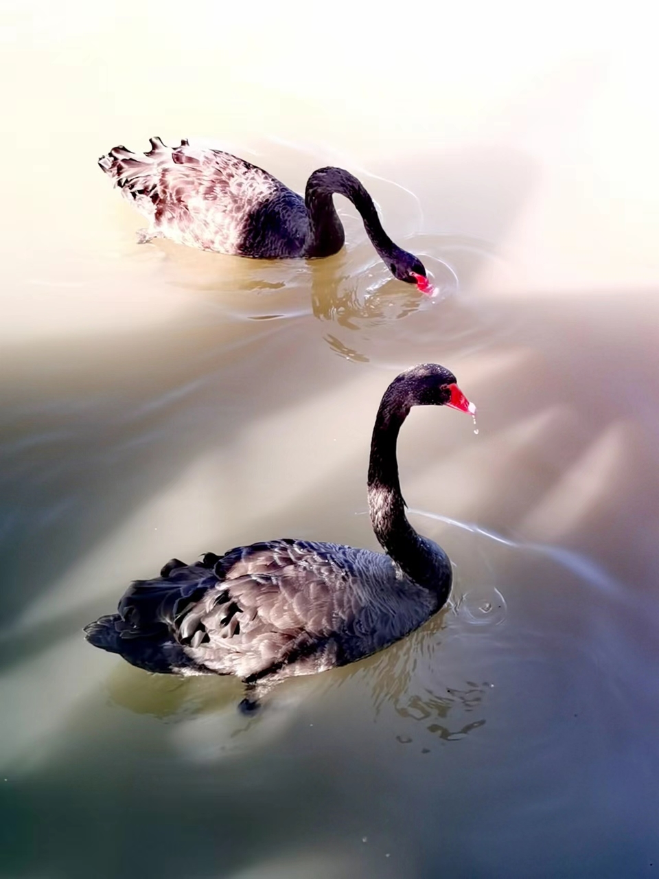 kFKGQykqjUMY4ZWzKTBz6NwbGPndEZGRZlEN8DH9KL_mWkiIqB2REX4gcNr7ec0L