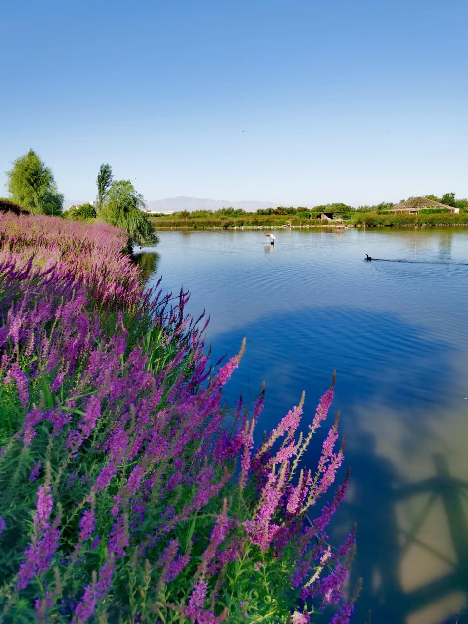 kFKGQykqjUMY4ZWzKTBz6JO1CfUcZQlJ7t8X1KsoeZfZaQsapI2JJpfOmCPInNK9