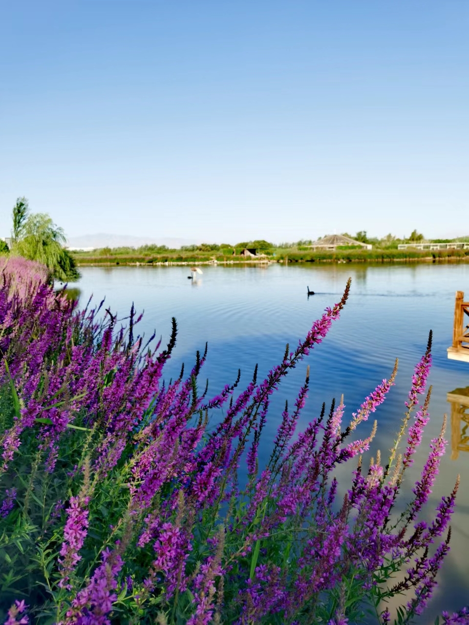 kFKGQykqjUMY4ZWzKTBz6F4VnBsbVi5_56qyLokyzSF7mReo2iuyuZWc5Qu0GkTJ