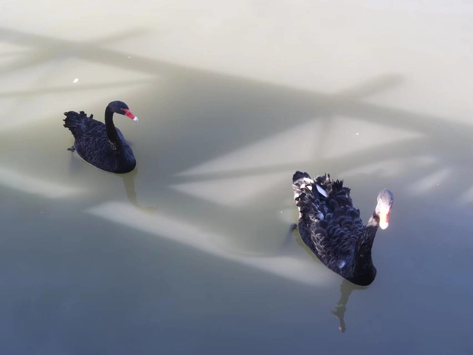 kFKGQykqjUMY4ZWzKTBz6JRihH2tSRYygmxAI8PoM0PO9Kf0Pnstere5yuVLg7jH