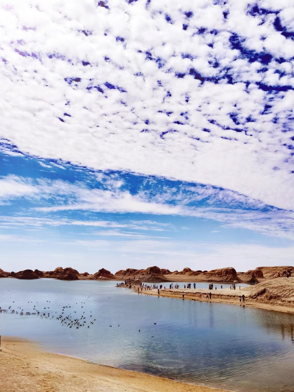 kFKGQykqjUMY4ZWzKTBz6AROTE_ZxP7tQN_TkOSBvkbE0XGX8PSDFcWHV8wZO6VG