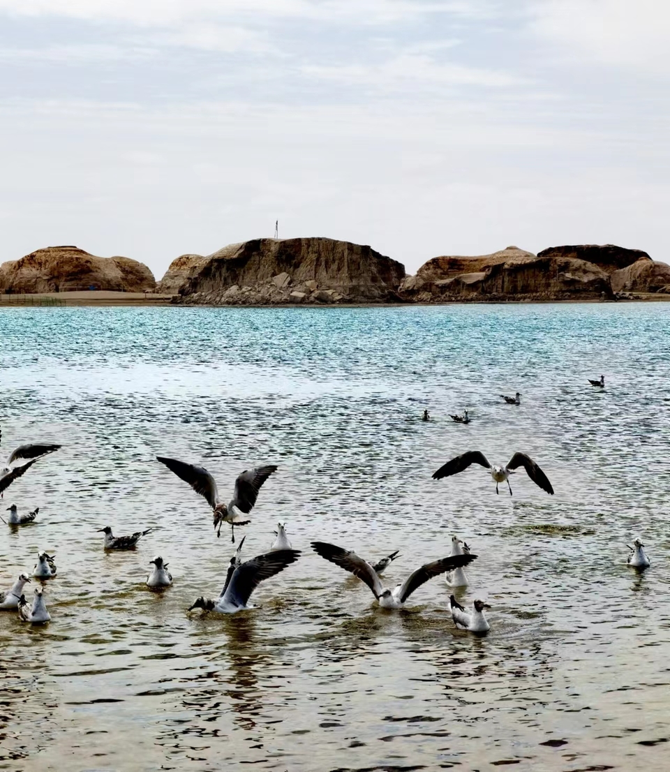 ZmwR_G14kT5s63Mre-1G0JBhh9cRV_iOUf1OEQC8vGzh3gJI6-6Wu6gnO8iMJDTF