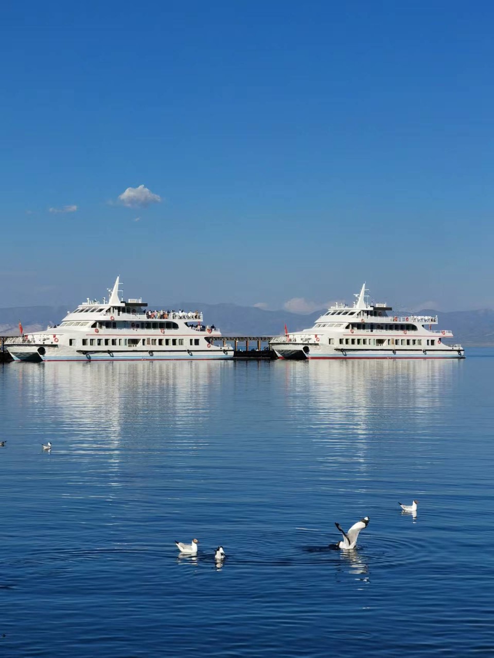 ZmwR_G14kT5s63Mre-1G0FtEzEVkNDDo1SGzVQB9u2RC7Rku1OBFpVPBauY8e7rm