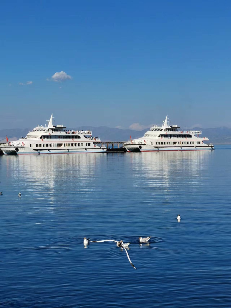 ZmwR_G14kT5s63Mre-1G0LujijsVAxKoU8lZZiPRH1Q4o9FtiqzFD3yByNY1fRxR