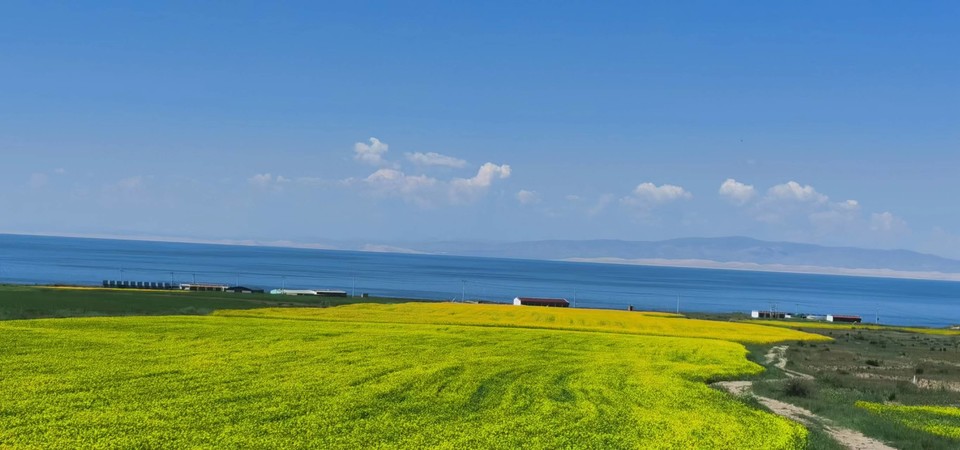 ZmwR_G14kT5s63Mre-1G0NC9SXe_OrlDw4I3lGGqWyVyiP-i2dbQjZlc1X6BDLDs