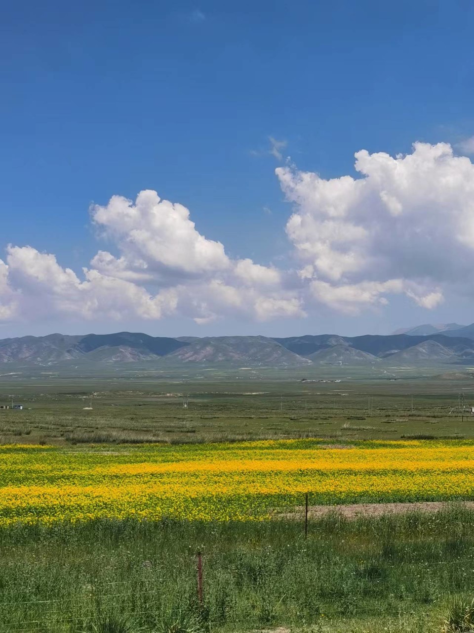 ZmwR_G14kT5s63Mre-1G0Ow8FzCNGqYLlMJhzsSet2vblp_VMqm2oXeKnf1suZ1z