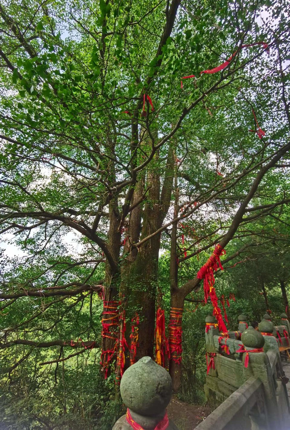 SzGx1sOaYCozDBMHq4x3SpwymM10Es9hJUzSMG9MqsRyUEobZ2hCbIVEYet90OSi