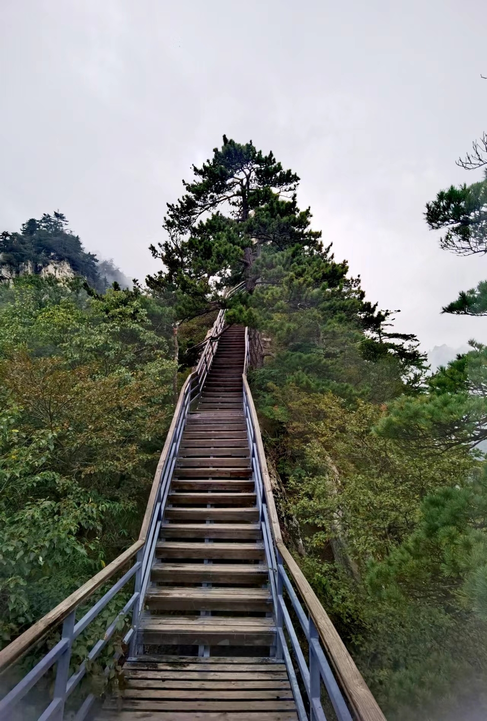 tfJsNH_EKwr24-117zJOwm4utJQhLK6KYLrqbgPLyDN6H36LPU1hebr_V0HI9-Fo