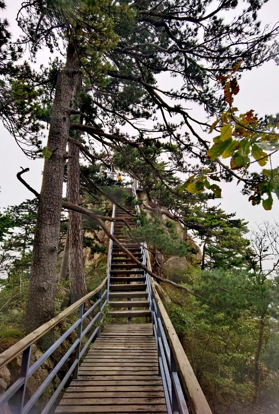 tfJsNH_EKwr24-117zJOwv4QX5-1g5_S8K8eflNmIqdshL2usvWra2Ew9EEiyxtL