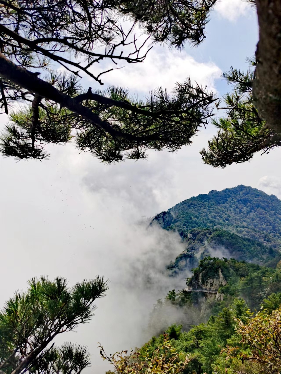 tfJsNH_EKwr24-117zJOwtZ7drIHK9jYBLapnKq_U_iA40s5mMJs5T6udXw6K4Ns