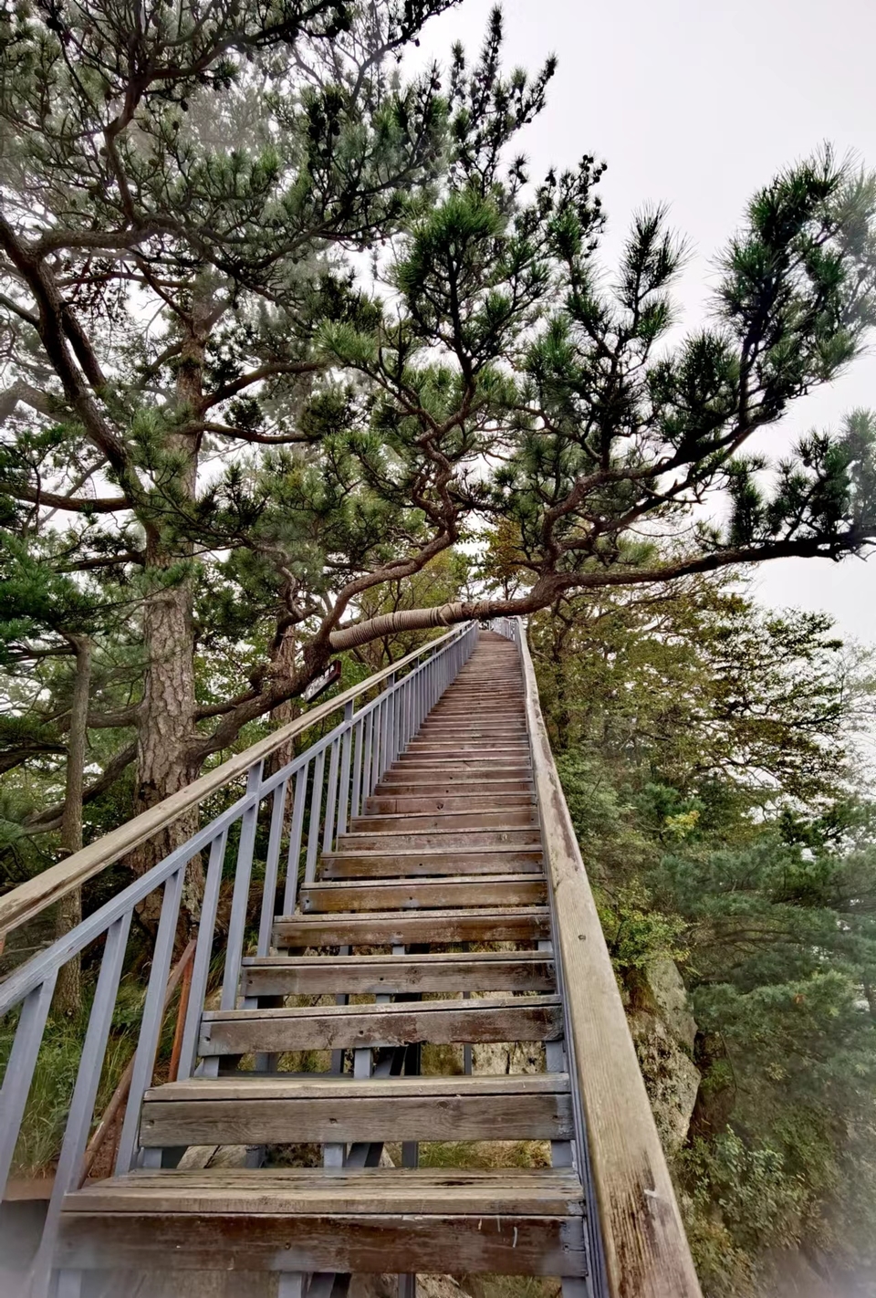 tfJsNH_EKwr24-117zJOwlsvwpGgqITKz55yDyTlLgmVCQ1l8_5yhB7NwrXbO1Qf