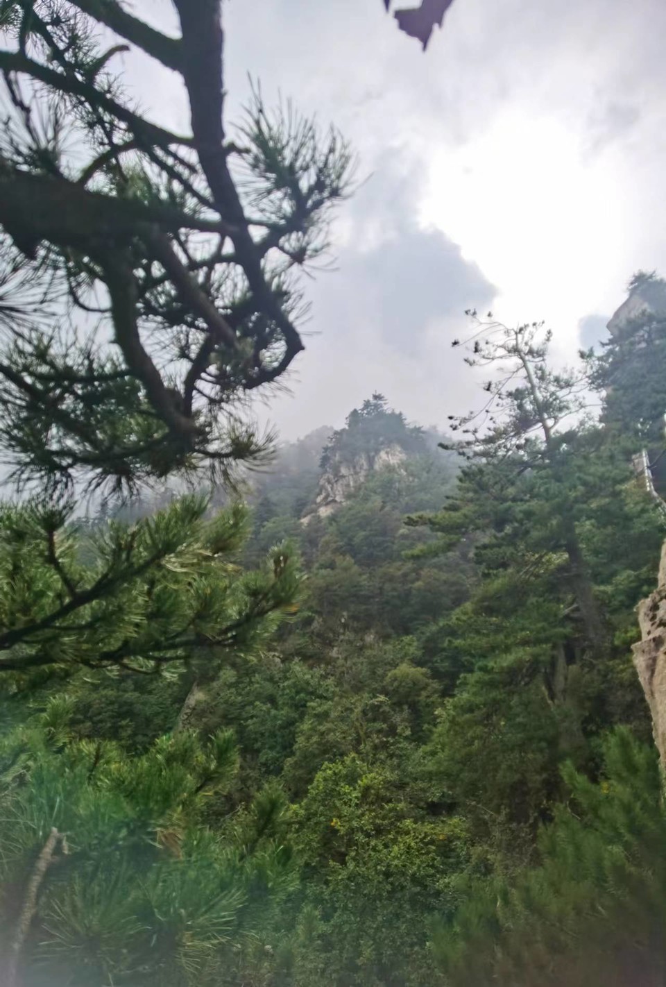 tfJsNH_EKwr24-117zJOwtKvUv72HuaVB045x49DZhDvpdT7Ev_QNEoPbwh6AmB8