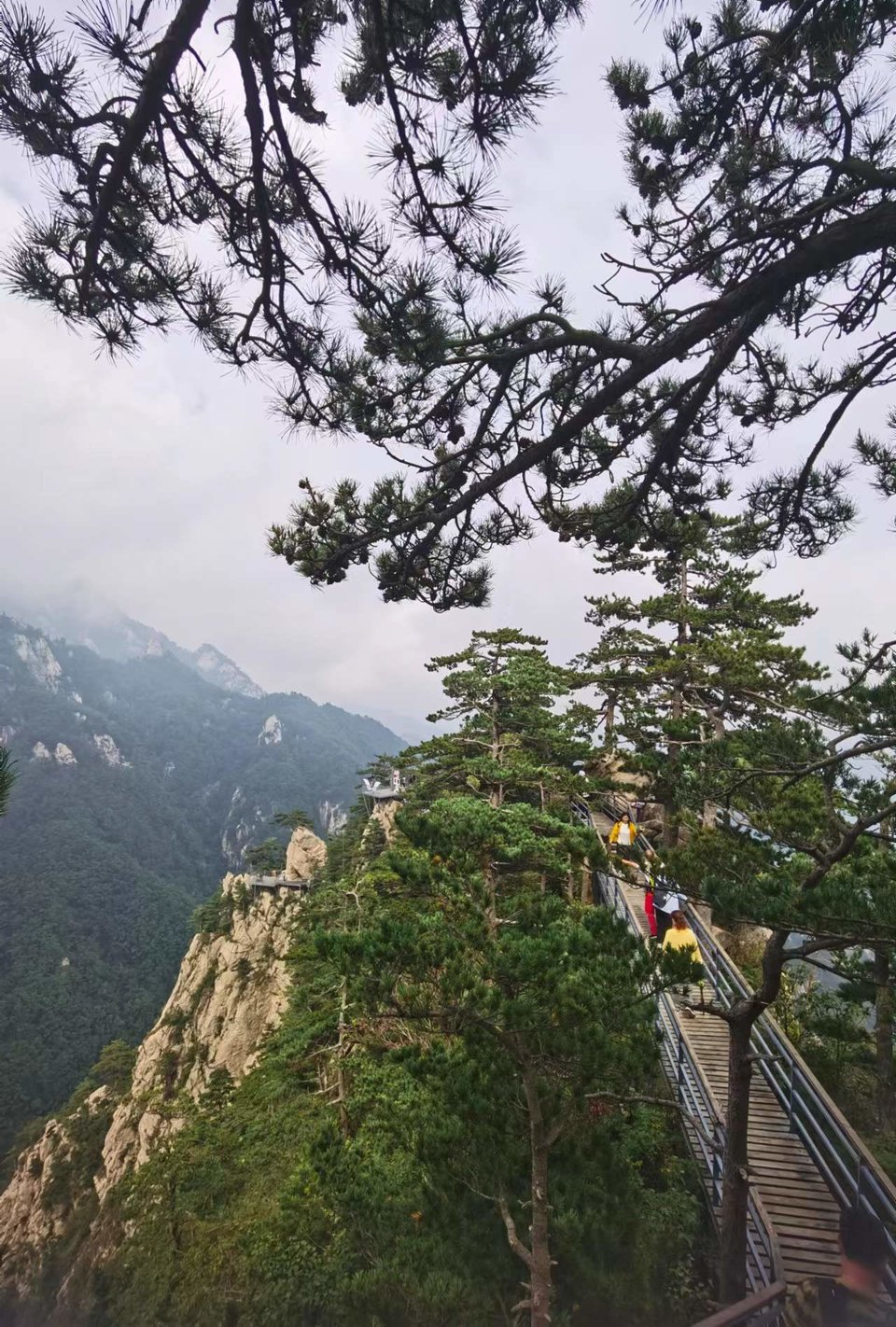 tfJsNH_EKwr24-117zJOwjsX2vYlGNKrkpLr-wBk9q-zTb2kuhbQXazYlUdR2meW