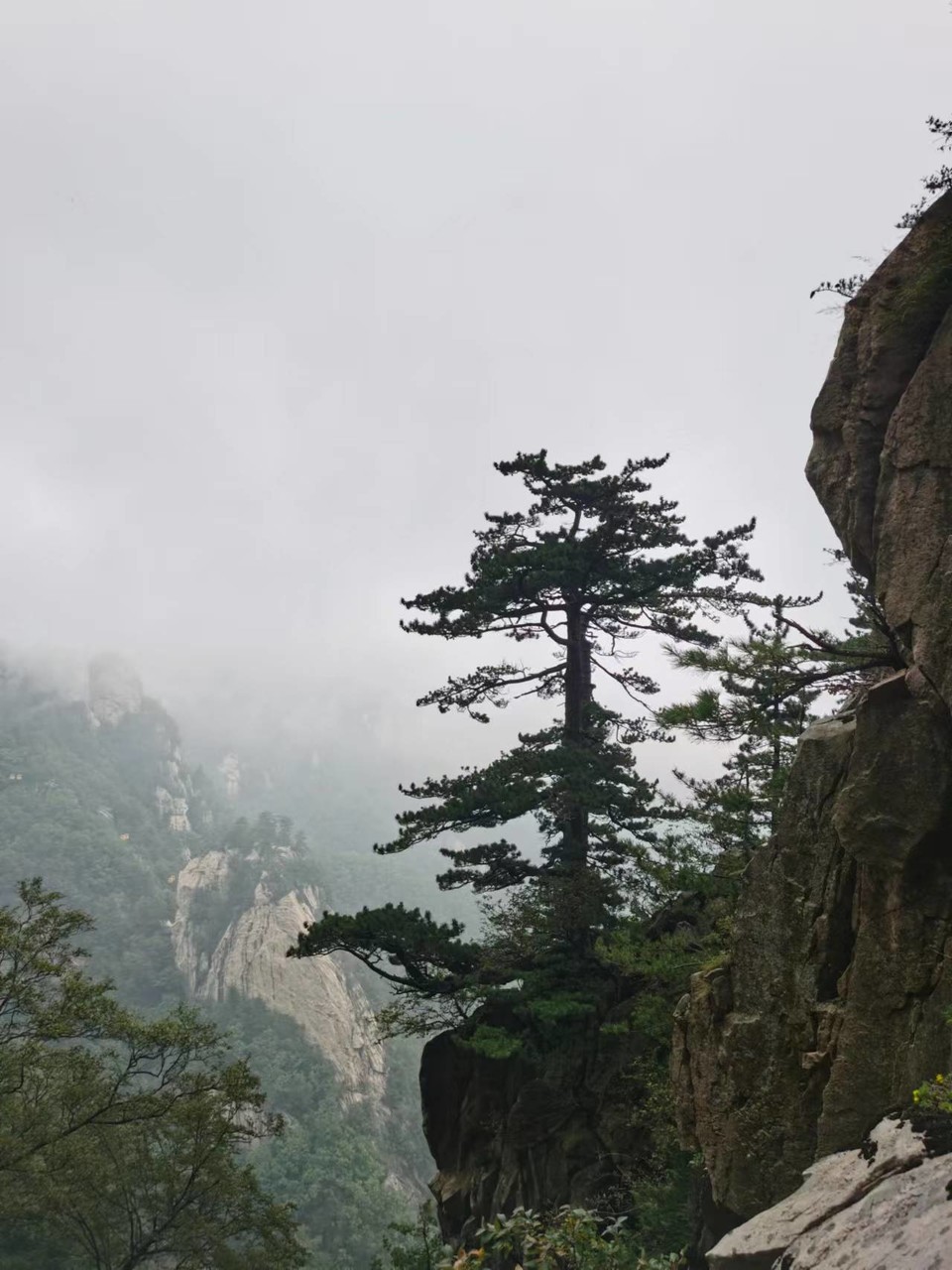 tfJsNH_EKwr24-117zJOwiG0IvRy2u4ieciS0qwQDsi4YRCGOcoNXfxEQyOvOrrf