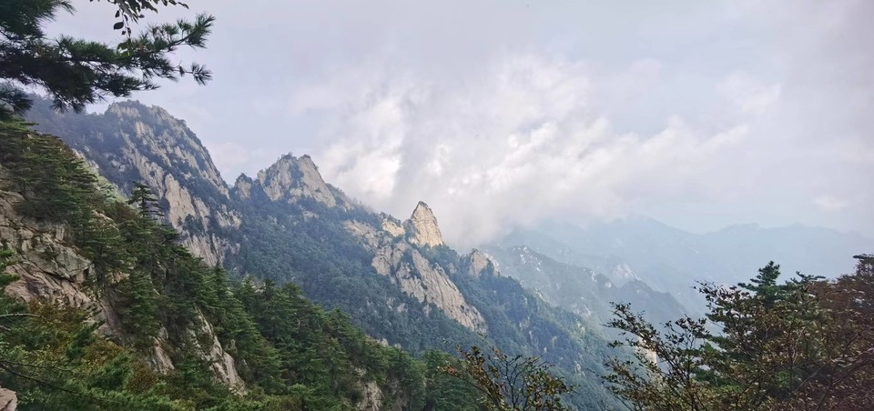 tfJsNH_EKwr24-117zJOwjsuzNcbJcTB2O81zFuHsZ-xD7d6qDRbsAvOXT6YKmNu