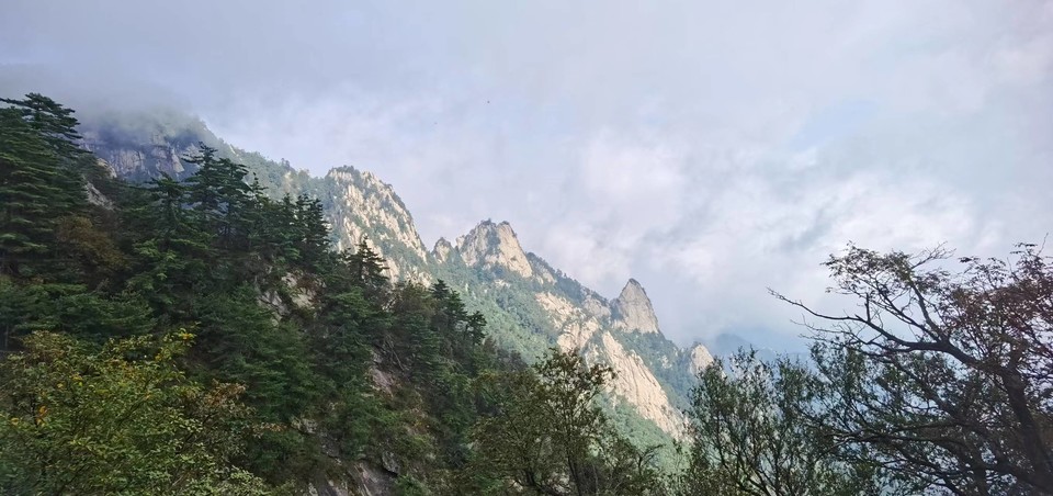 tfJsNH_EKwr24-117zJOwlYKkzUgzr3Xw2zzgTWmMAOnACNFjXr7fM-pds_Mj1eg