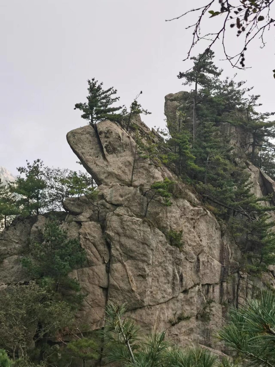 tfJsNH_EKwr24-117zJOwjijbWsSXuc5AQvGVmR8DBgk42U0XDZVdNg8zx_TUQIk