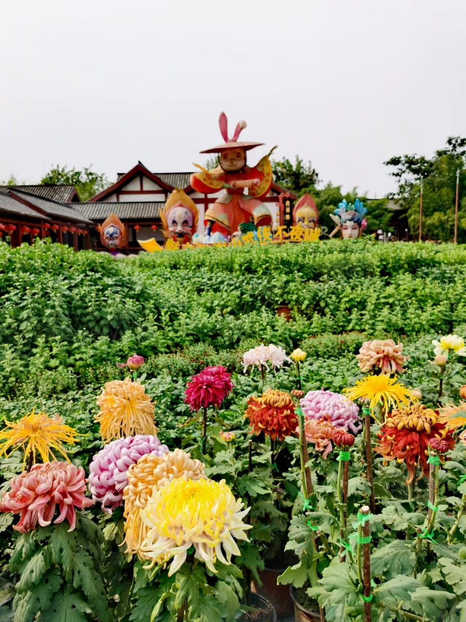 wExfNFHbmUQA8jXGw3mqKVSKeiZzts8uzUEx4sZVYQknYsuJpcknm6JCHLQ7WAIv