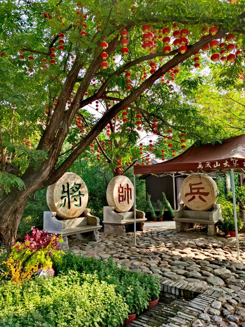 wExfNFHbmUQA8jXGw3mqKRyqDx3QOofS7g7PY5T6nlbJlsjsuX-OGwYFmqWxFp0l