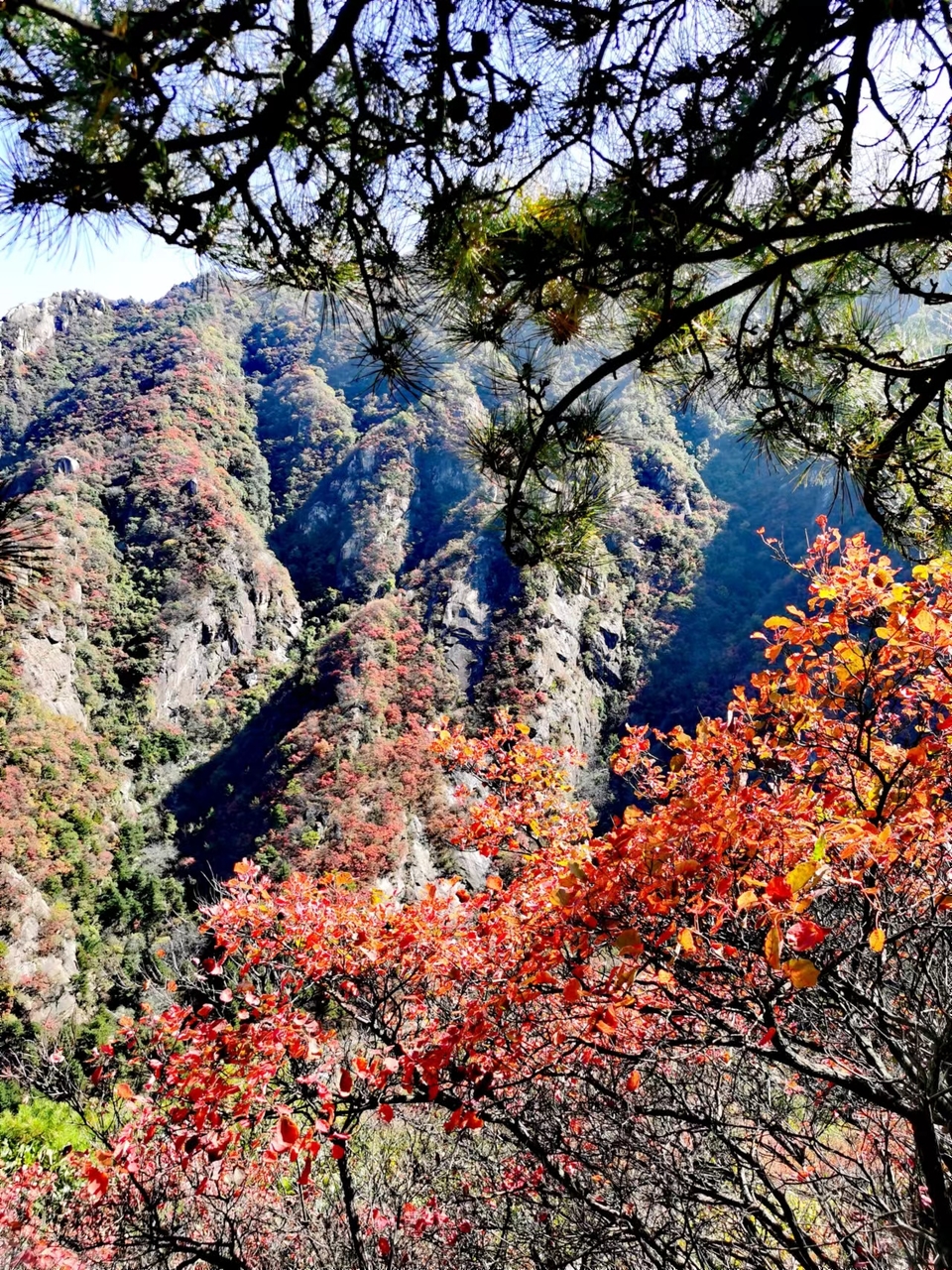 -f7LaxSgBhwQ8hCEoA7KPjEhZYJFiDS2OD_-T9CgeqHVeVFcze_cv-tYY84aOTI6